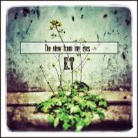 The View From My Eyes